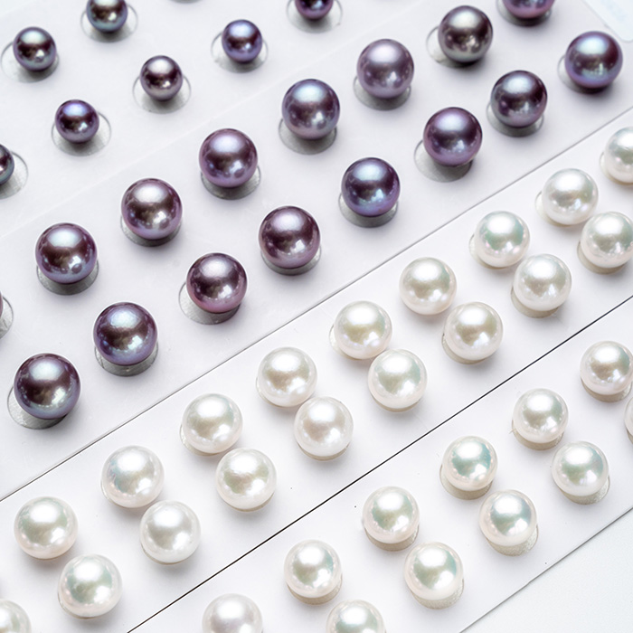 紫色の淡水パールと白色の淡水パール