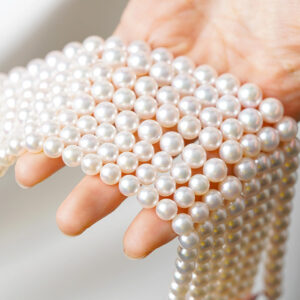 有核淡水パール